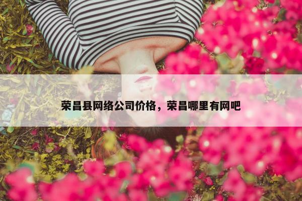 荣昌县网络公司价格，荣昌哪里有网吧
