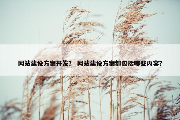 网站建设方案开发？ 网站建设方案都包括哪些内容？