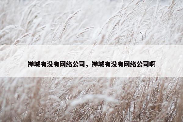 禅城有没有网络公司，禅城有没有网络公司啊