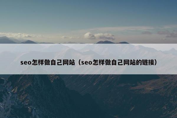 seo怎样做自己网站（seo怎样做自己网站的链接）