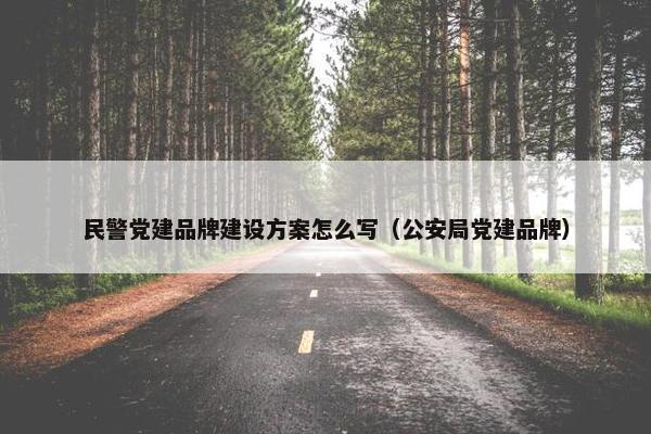 民警党建品牌建设方案怎么写（公安局党建品牌）