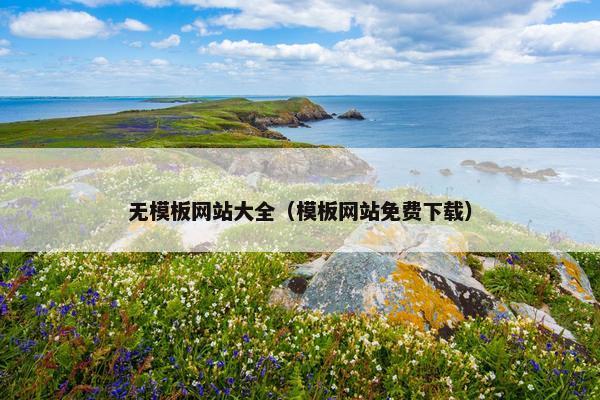 无模板网站大全（模板网站免费下载）