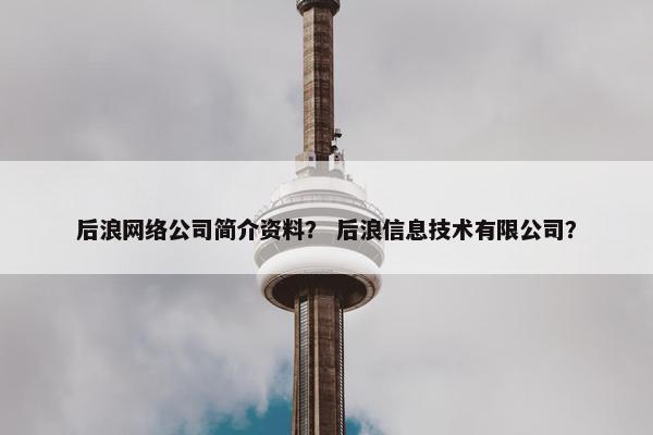 后浪网络公司简介资料？ 后浪信息技术有限公司？