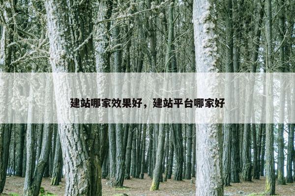 建站哪家效果好，建站平台哪家好