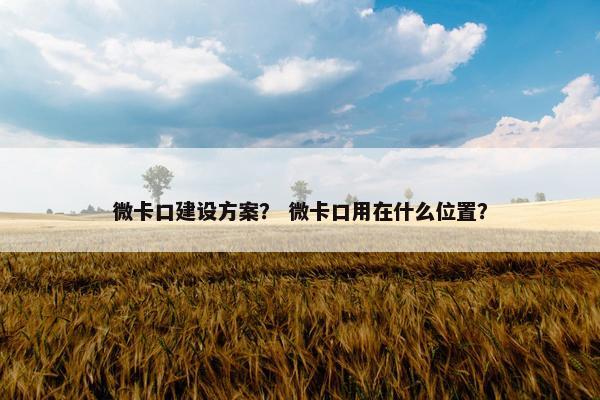 微卡口建设方案？ 微卡口用在什么位置？