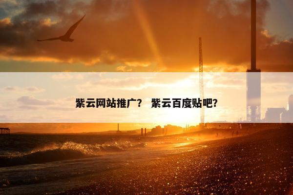 紫云网站推广？ 紫云百度贴吧？