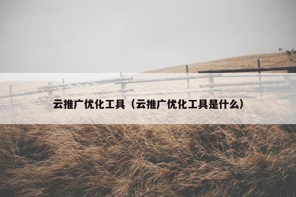 云推广优化工具（云推广优化工具是什么）