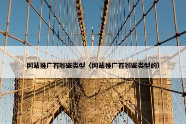 网站推广有哪些类型（网站推广有哪些类型的）