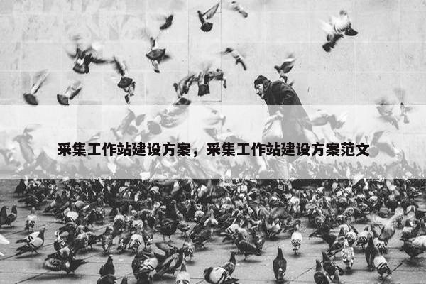 采集工作站建设方案，采集工作站建设方案范文