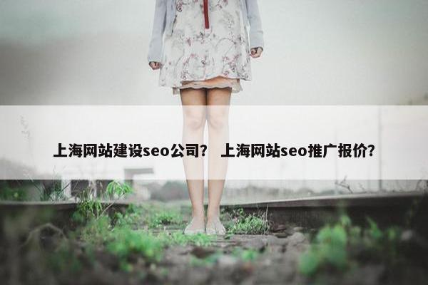 上海网站建设seo公司？ 上海网站seo推广报价？
