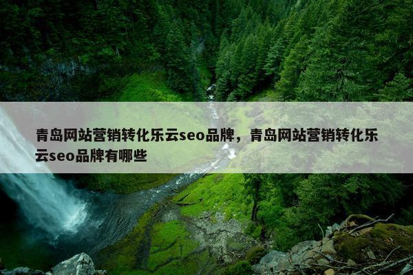 青岛网站营销转化乐云seo品牌，青岛网站营销转化乐云seo品牌有哪些