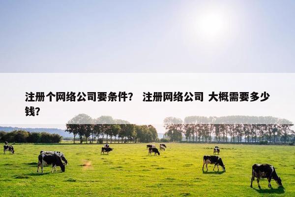 注册个网络公司要条件？ 注册网络公司 大概需要多少钱？