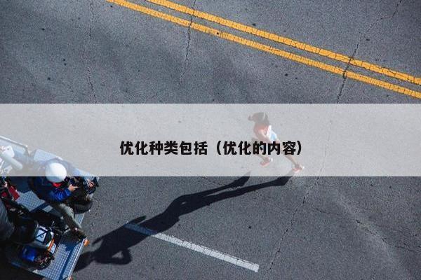 优化种类包括（优化的内容）