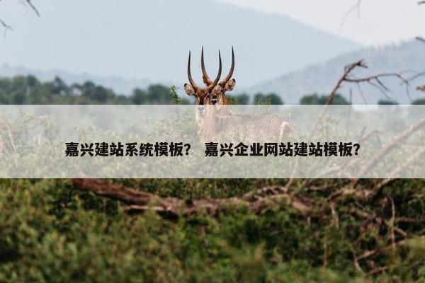 嘉兴建站系统模板？ 嘉兴企业网站建站模板？