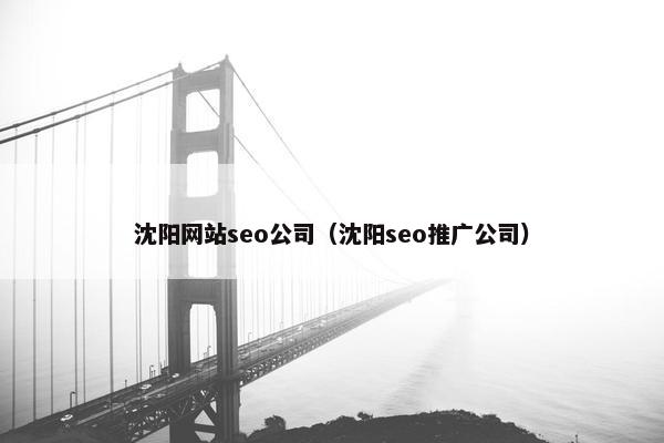 沈阳网站seo公司（沈阳seo推广公司）