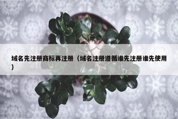 域名先注册商标再注册（域名注册遵循谁先注册谁先使用）