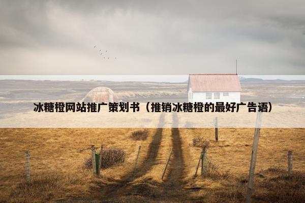 冰糖橙网站推广策划书（推销冰糖橙的最好广告语）