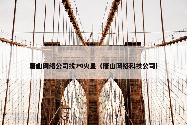 唐山网络公司找29火星（唐山网络科技公司）