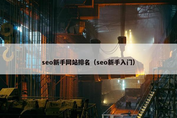seo新手网站排名（seo新手入门）