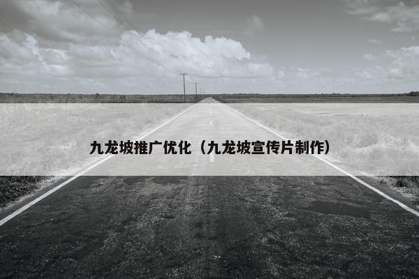 九龙坡推广优化（九龙坡宣传片制作）