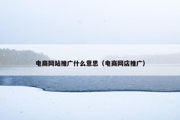 电商网站推广什么意思（电商网店推广）