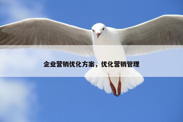 企业营销优化方案，优化营销管理