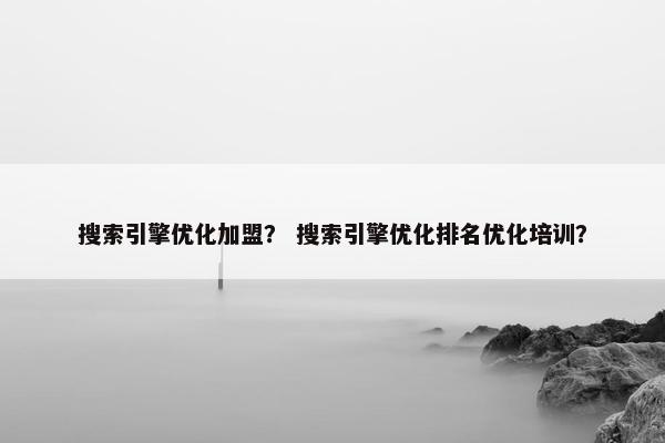 搜索引擎优化加盟？ 搜索引擎优化排名优化培训？