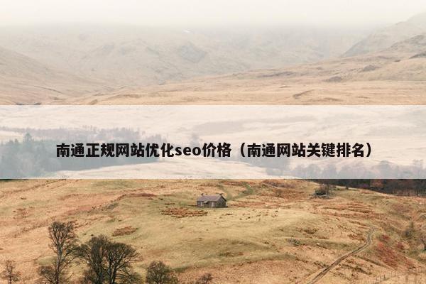 南通正规网站优化seo价格（南通网站关键排名）