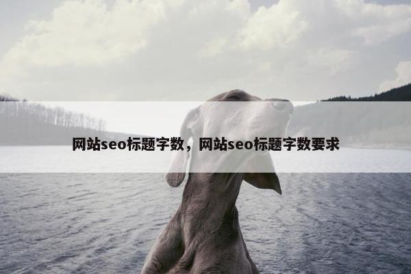 网站seo标题字数，网站seo标题字数要求