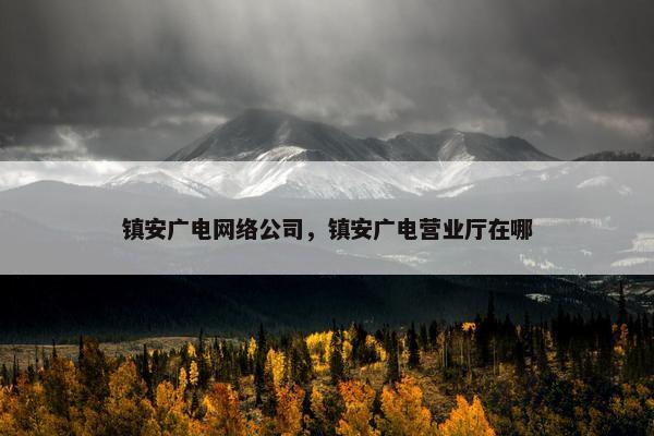 镇安广电网络公司，镇安广电营业厅在哪