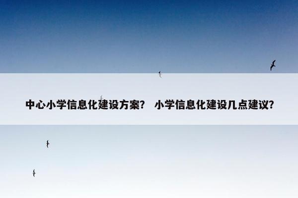 中心小学信息化建设方案？ 小学信息化建设几点建议？