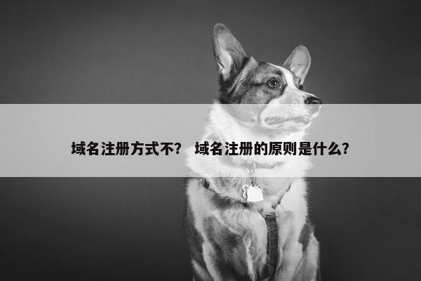 域名注册方式不？ 域名注册的原则是什么？