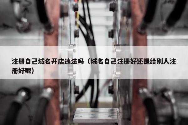 注册自己域名开店违法吗（域名自己注册好还是给别人注册好呢）