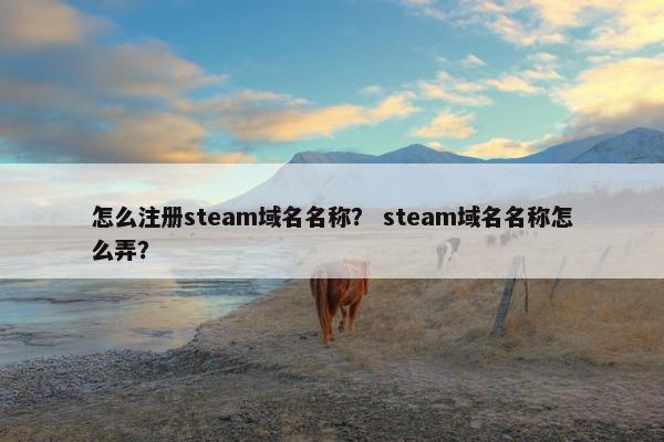 怎么注册steam域名名称？ steam域名名称怎么弄？