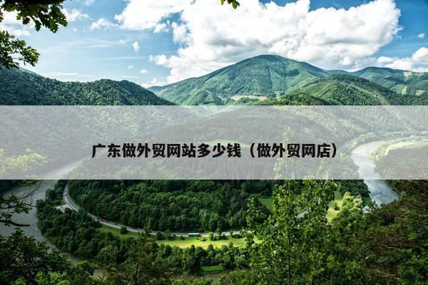 广东做外贸网站多少钱（做外贸网店）
