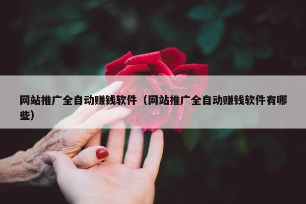 网站推广全自动赚钱软件（网站推广全自动赚钱软件有哪些）