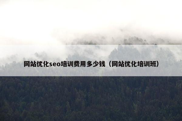 网站优化seo培训费用多少钱（网站优化培训班）