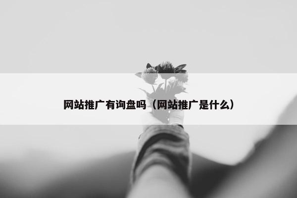网站推广有询盘吗（网站推广是什么）