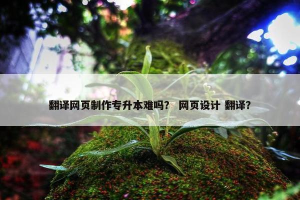 翻译网页制作专升本难吗？ 网页设计 翻译？
