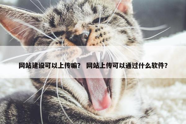 网站建设可以上传嘛？ 网站上传可以通过什么软件？