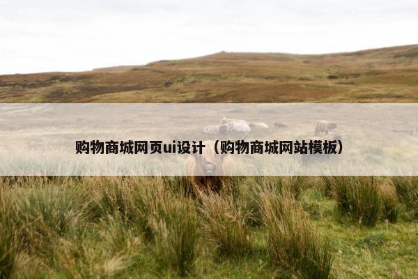 购物商城网页ui设计（购物商城网站模板）
