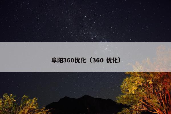 阜阳360优化（360 优化）