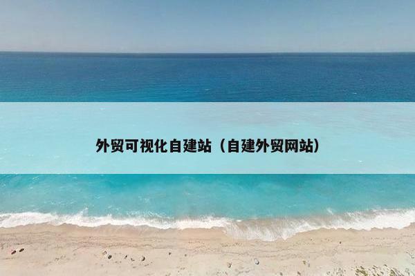外贸可视化自建站（自建外贸网站）