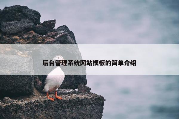 后台管理系统网站模板的简单介绍