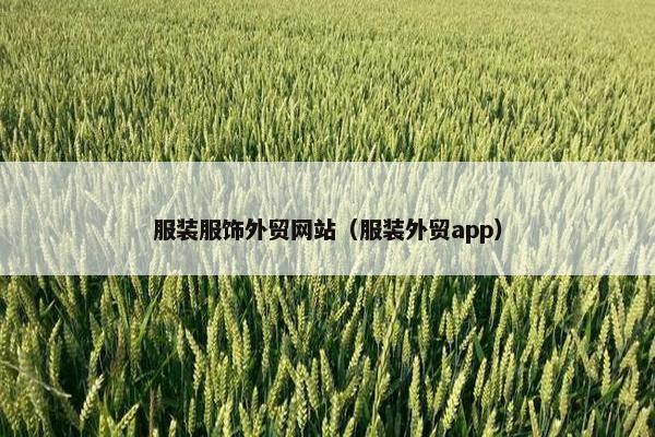 服装服饰外贸网站（服装外贸app）