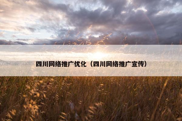 四川网络推广优化（四川网络推广宣传）