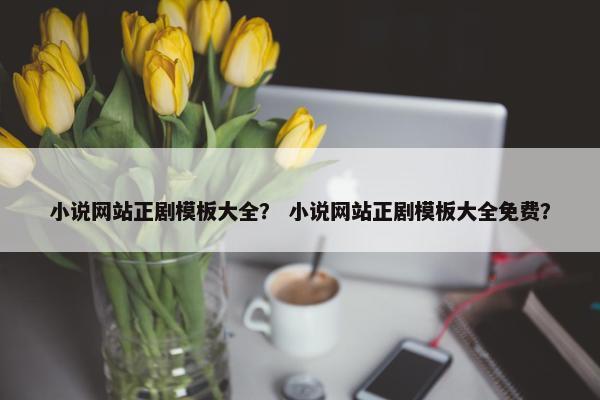 小说网站正剧模板大全？ 小说网站正剧模板大全免费？