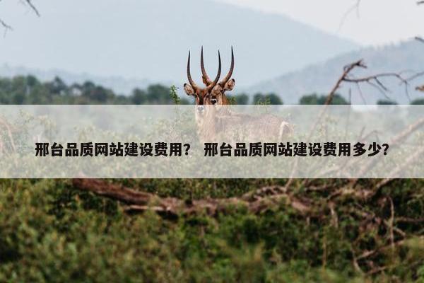 邢台品质网站建设费用？ 邢台品质网站建设费用多少？