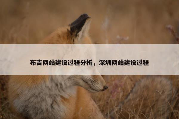 布吉网站建设过程分析，深圳网站建设过程