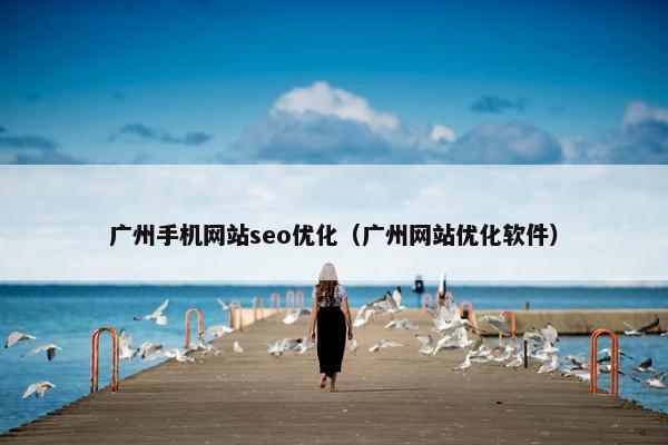 广州手机网站seo优化（广州网站优化软件）